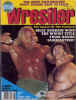 7708_The_Wrestler_Cover.jpg (31331 bytes)