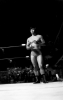 Jerry Brisco